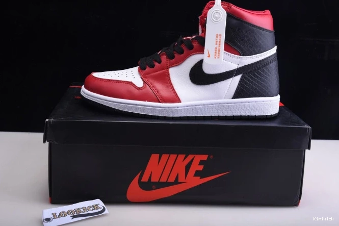CD0461- 858 Snake Satin 1 Jordan WellDesigned WMNS OG High Air 0601